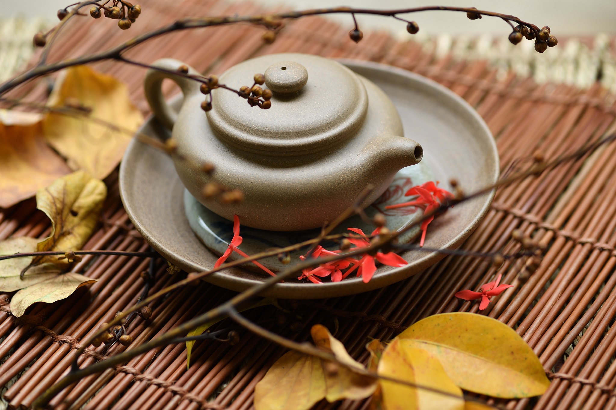 image Tea Demonstration in Four Seasons